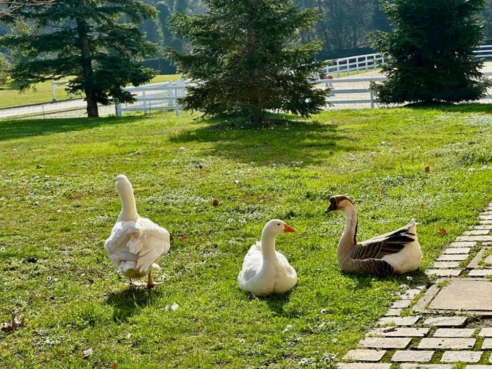 Il Boschetto Séjour à la ferme *