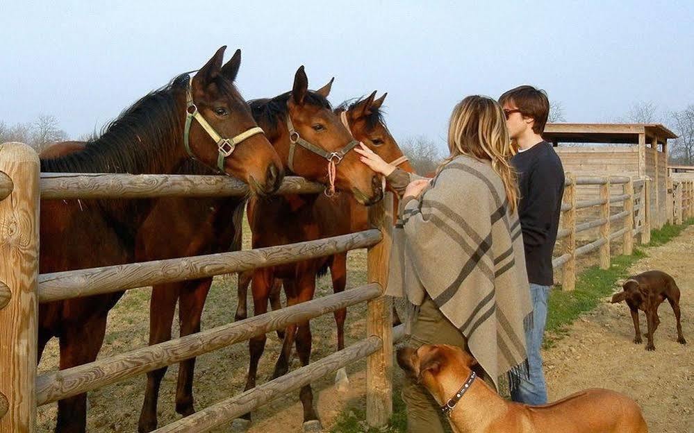 Il Boschetto Vakantieboerderij *